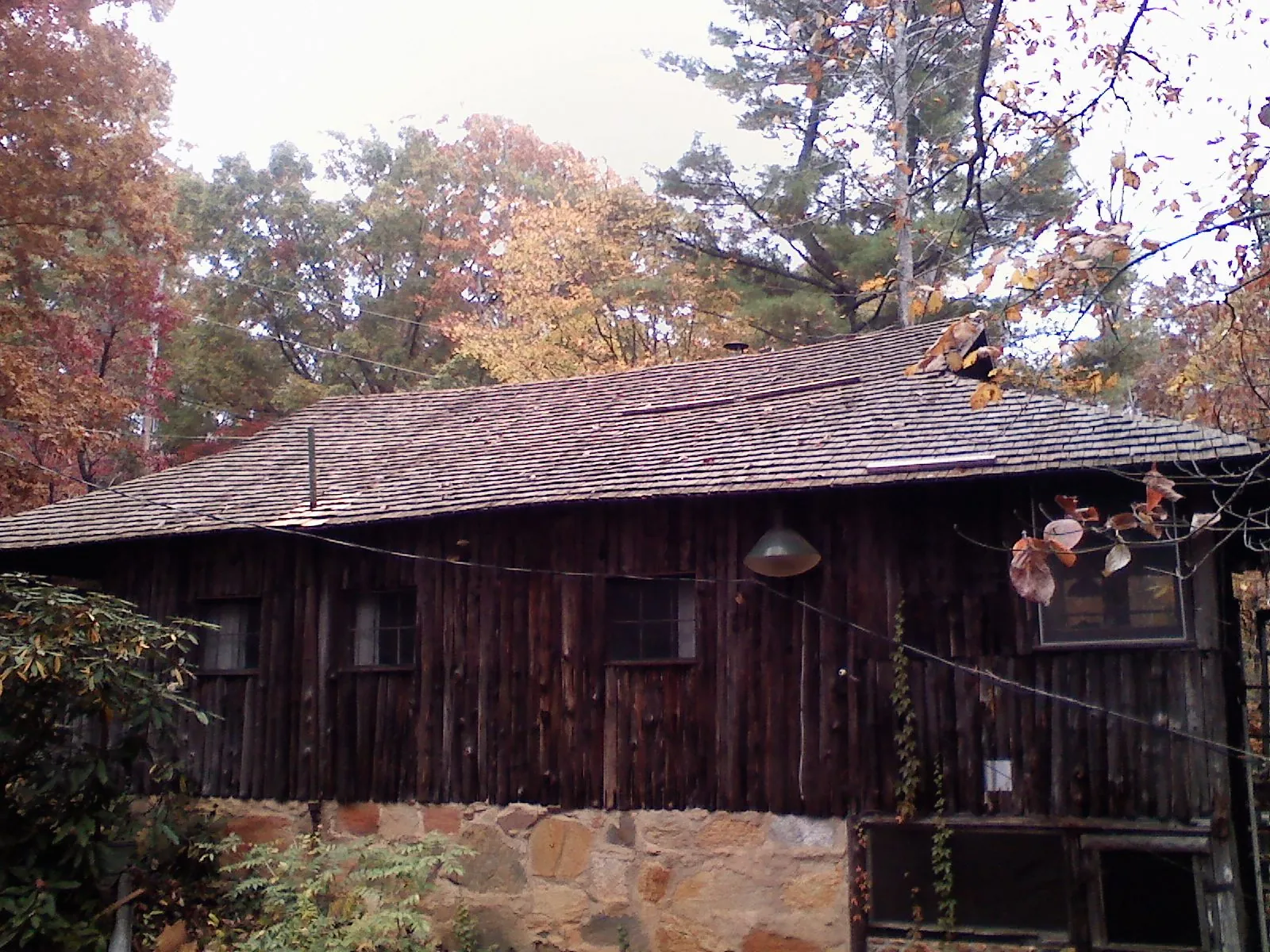 Weathered wood shake roof on a rustic board sided cabin in Pine Bluff
